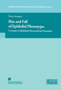 Rise and Fall of Epithelial Phenotype