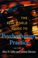THE REAL WORLD GUIDE TO PSYCHOTHERAPY PRACTICE