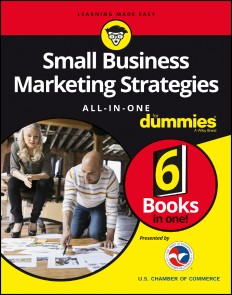 Small Business Marketing Strategies All-In-One For Dummies
