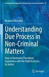 Understanding Due Process in Non-Criminal Matters