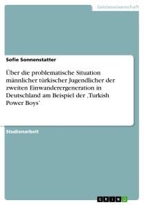 Über die problematische Situation männlicher türkischer Jugendlicher der zweiten Einwanderergeneration in Deutschland am Beispiel der 'Turkish Power Boys'