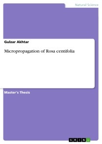 Micropropagation of Rosa centifolia