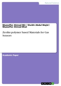 Zeolite-polymer based Materials for Gas Sensors