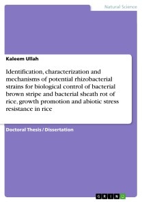 Identification, characterization and mechanisms of potential rhizobacterial strains for biological control of bacterial brown stripe and bacterial sheath rot of rice, growth promotion and abiotic  ...