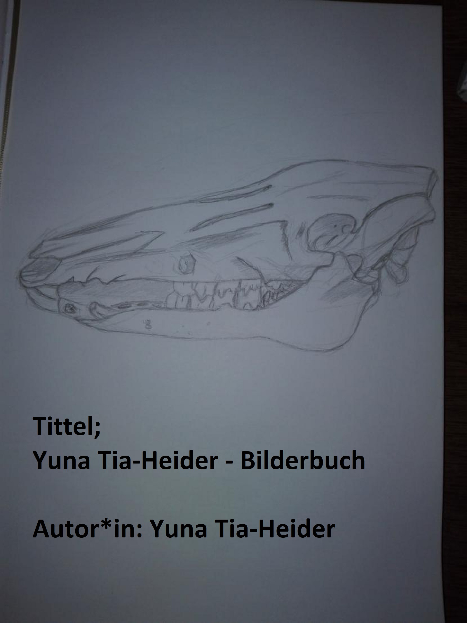Yuna Tia-Heider - Bilderbuch