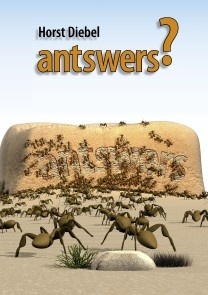 antswers