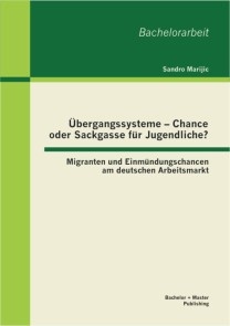 Übergangssysteme - Chance oder Sackgasse für Jugendliche? Migranten und Einmündungschancen am deutschen Arbeitsmarkt