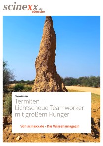 Termiten