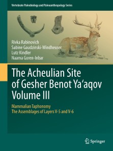The Acheulian Site of Gesher Benot  Ya*aqov  Volume III