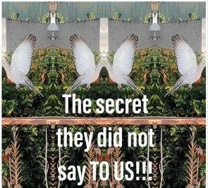 The secret they did not say TO US!!!